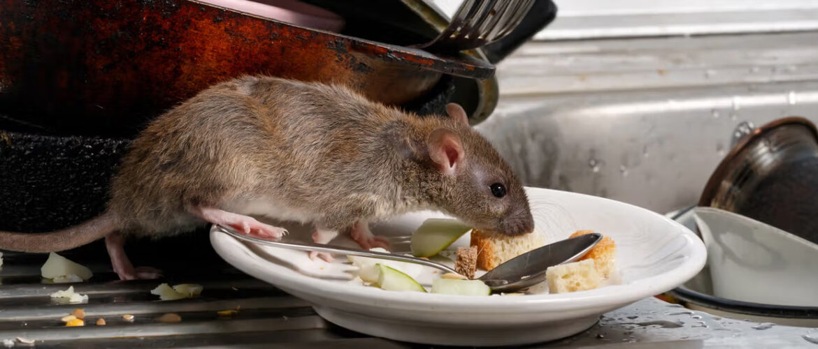 RATAS